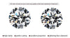 TENSHI Gold plated Crystals Stud earrings